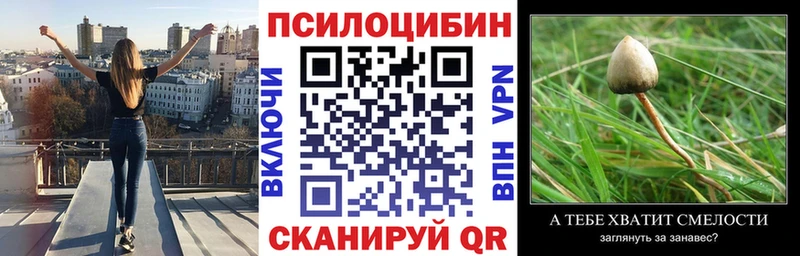 Купить где  Новотроицк  Псилоцибиновые грибы прущие грибы 
